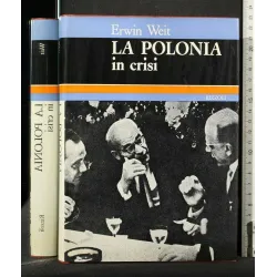 LA POLONIA IN CRISI _x000D_