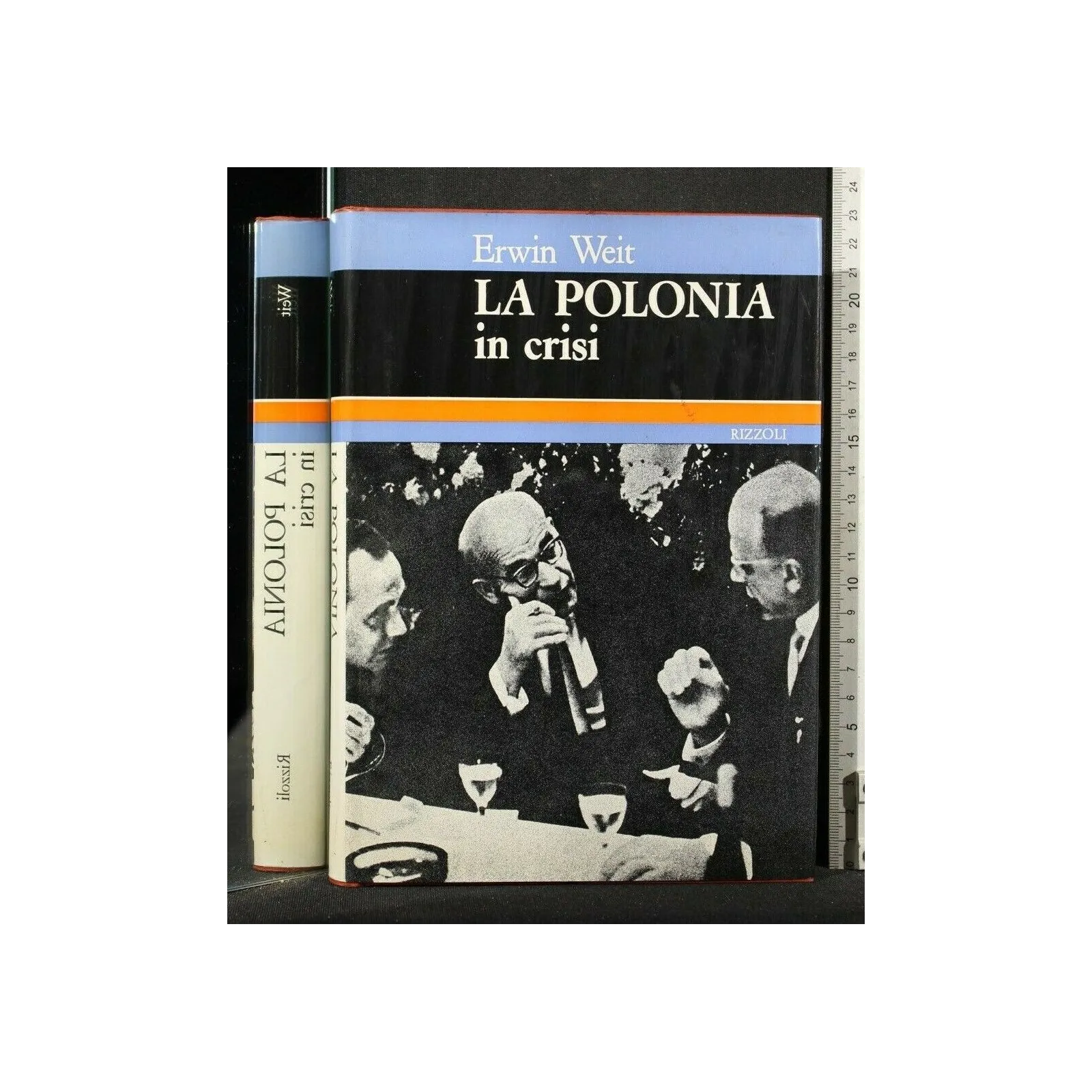 LA POLONIA IN CRISI _x000D_