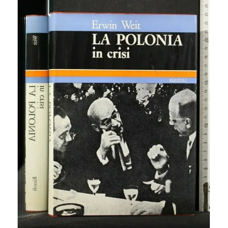 LA POLONIA IN CRISI _x000D_