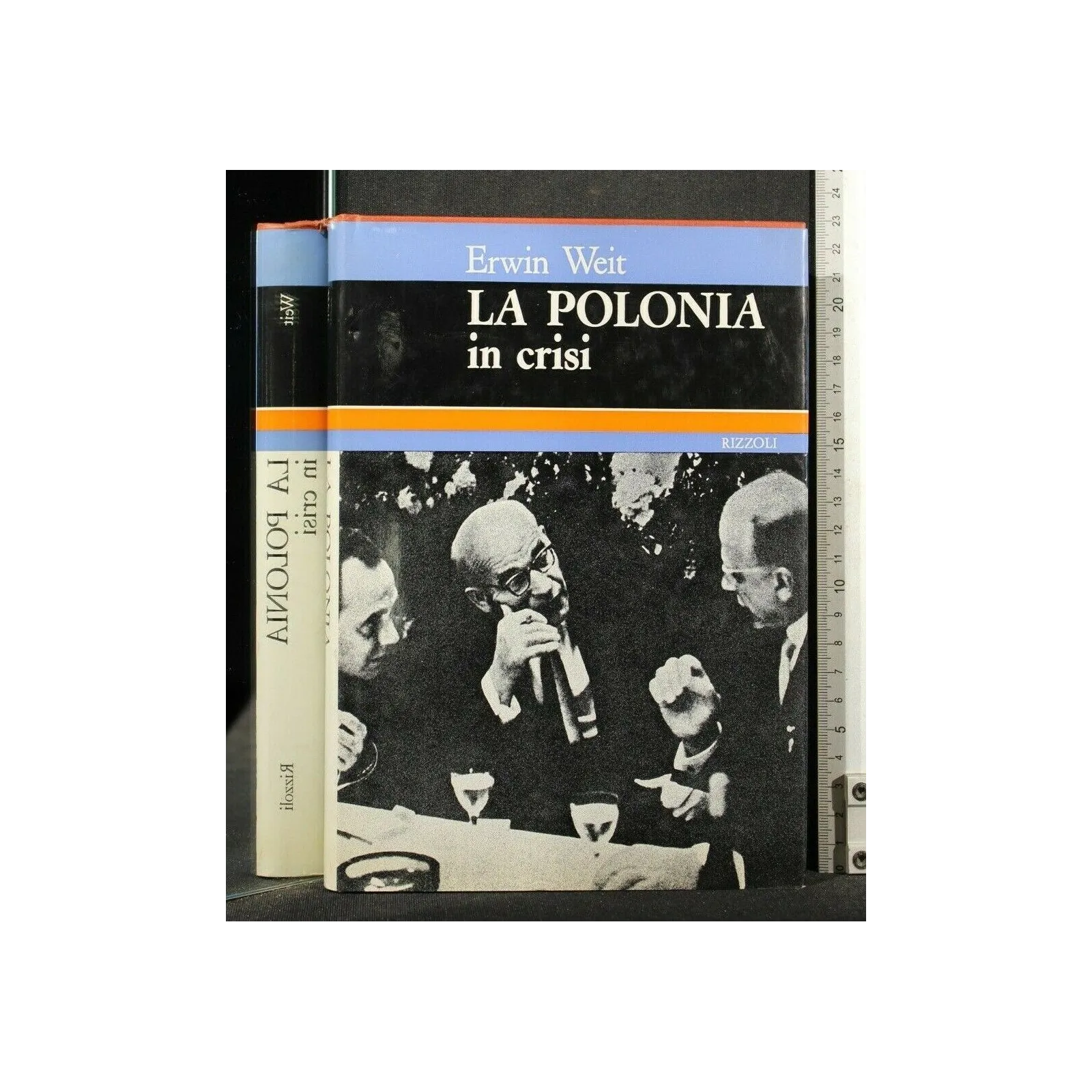 LA POLONIA IN CRISI _x000D_