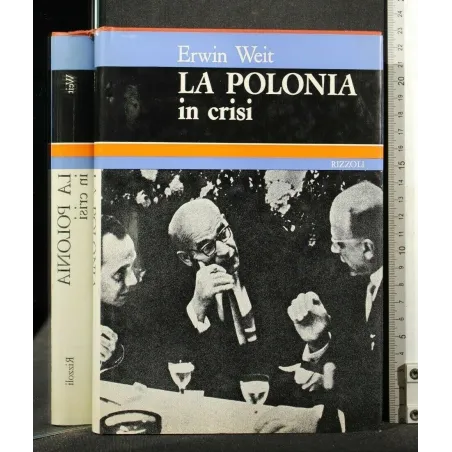 LA POLONIA IN CRISI _x000D_