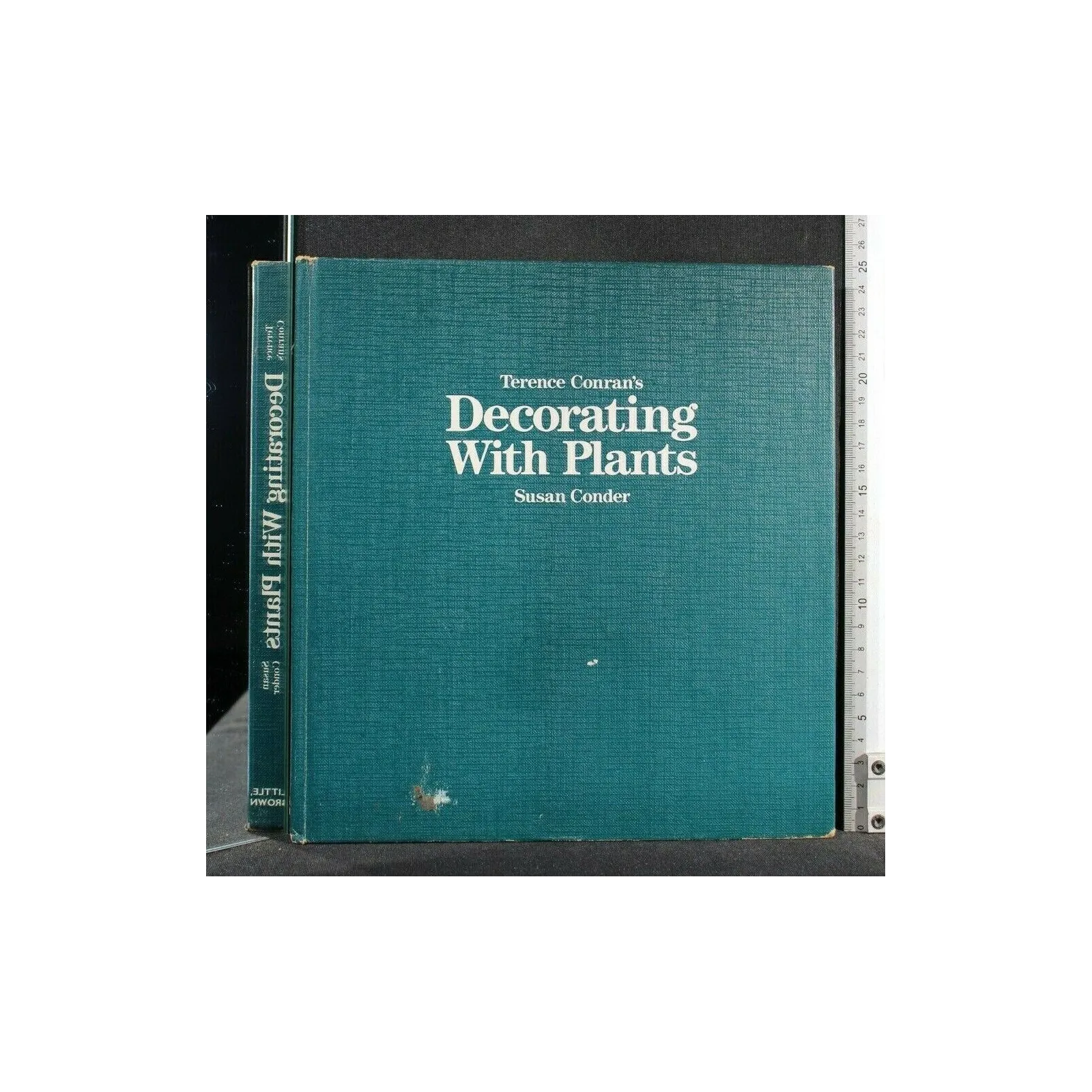 DECORATING WITH PLANTS _x000D_