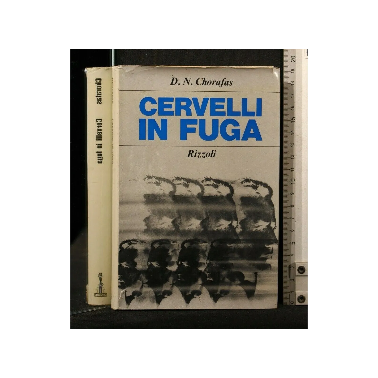 CERVELLI IN FUGA _x000D_