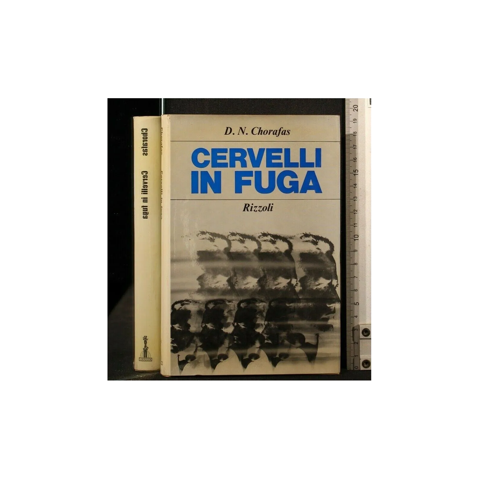 CERVELLI IN FUGA _x000D_