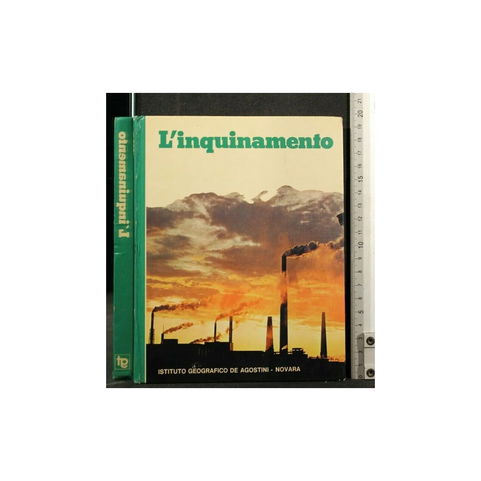 L'INQUINAMENTO _x000D_