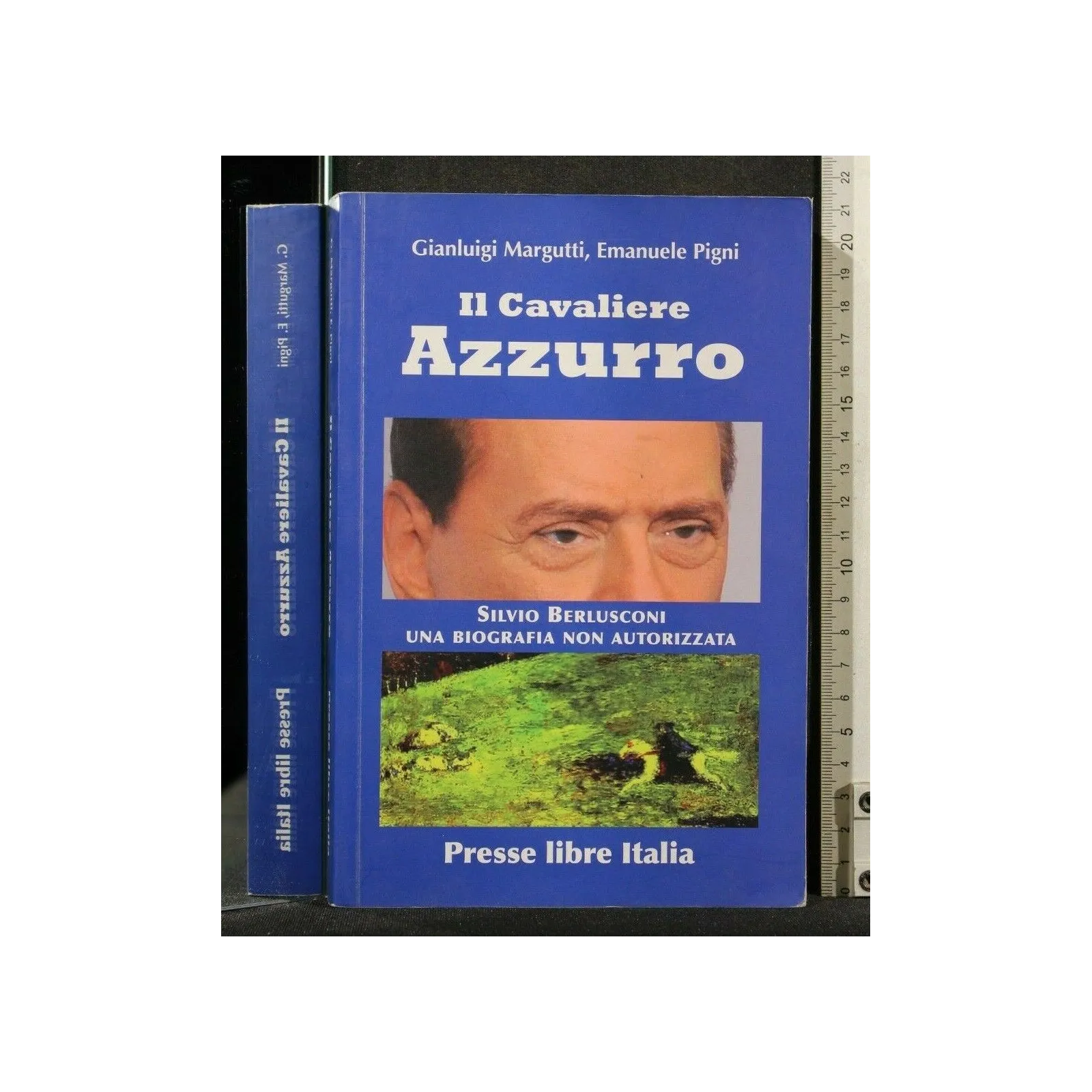 IL CAVALIERE AZZURRO SILVIO BERLUSCONI _x000D_