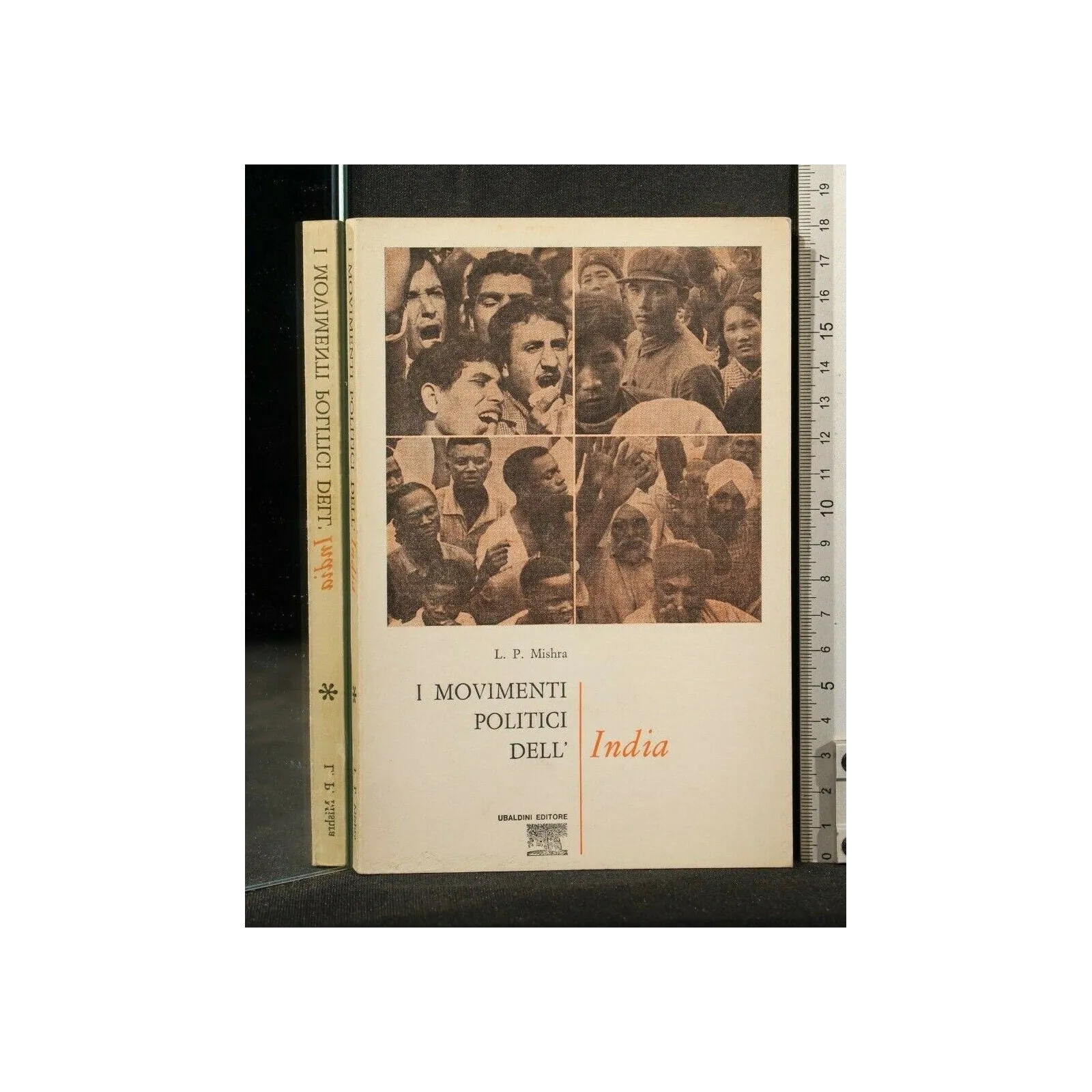 I MOVIMENTI POLITICI DELL'INDIA _x000D_