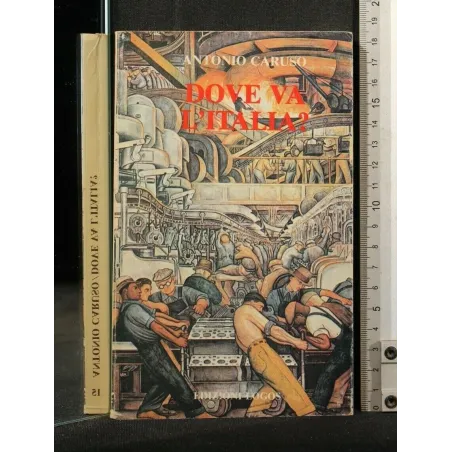 DOVE VA L'ITALIA? _x000D_