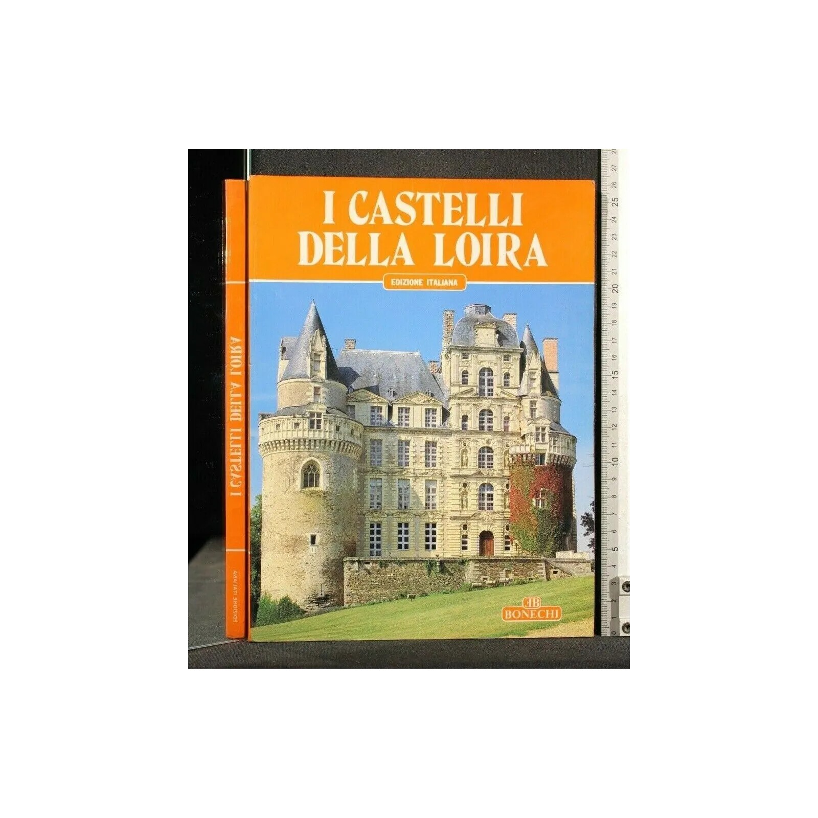 I CASTELLI DELLA LOIRA _x000D_