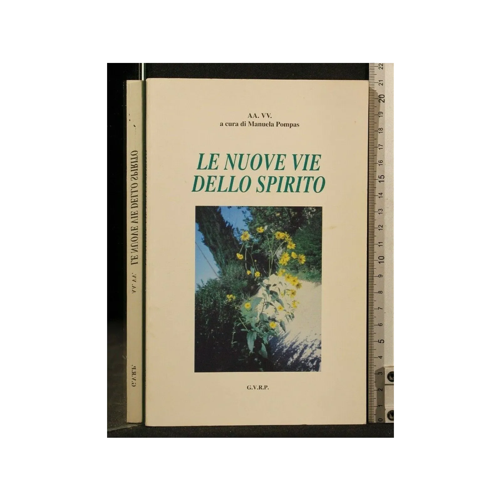 LE NUOVE VIE DELLO SPIRITO _x000D_