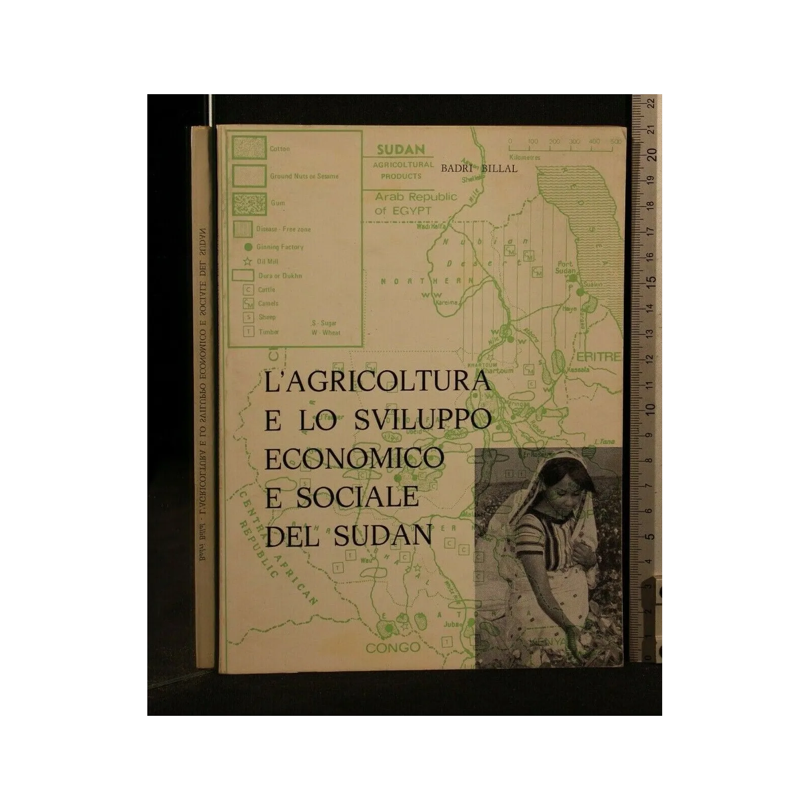 L'AGRICOLTURA E LO SVILUPPO ECONOMICO E SOCIALE DEL SUDAN _x000D_