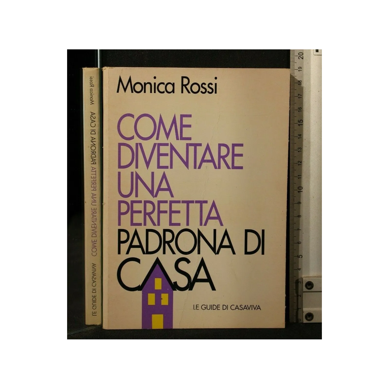 COME DIVENTARE UNA PERFETTA PADRONA DI CASA _x000D_