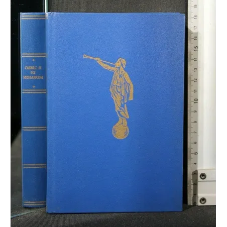 IL LIBRO DI MORMON _x000D_