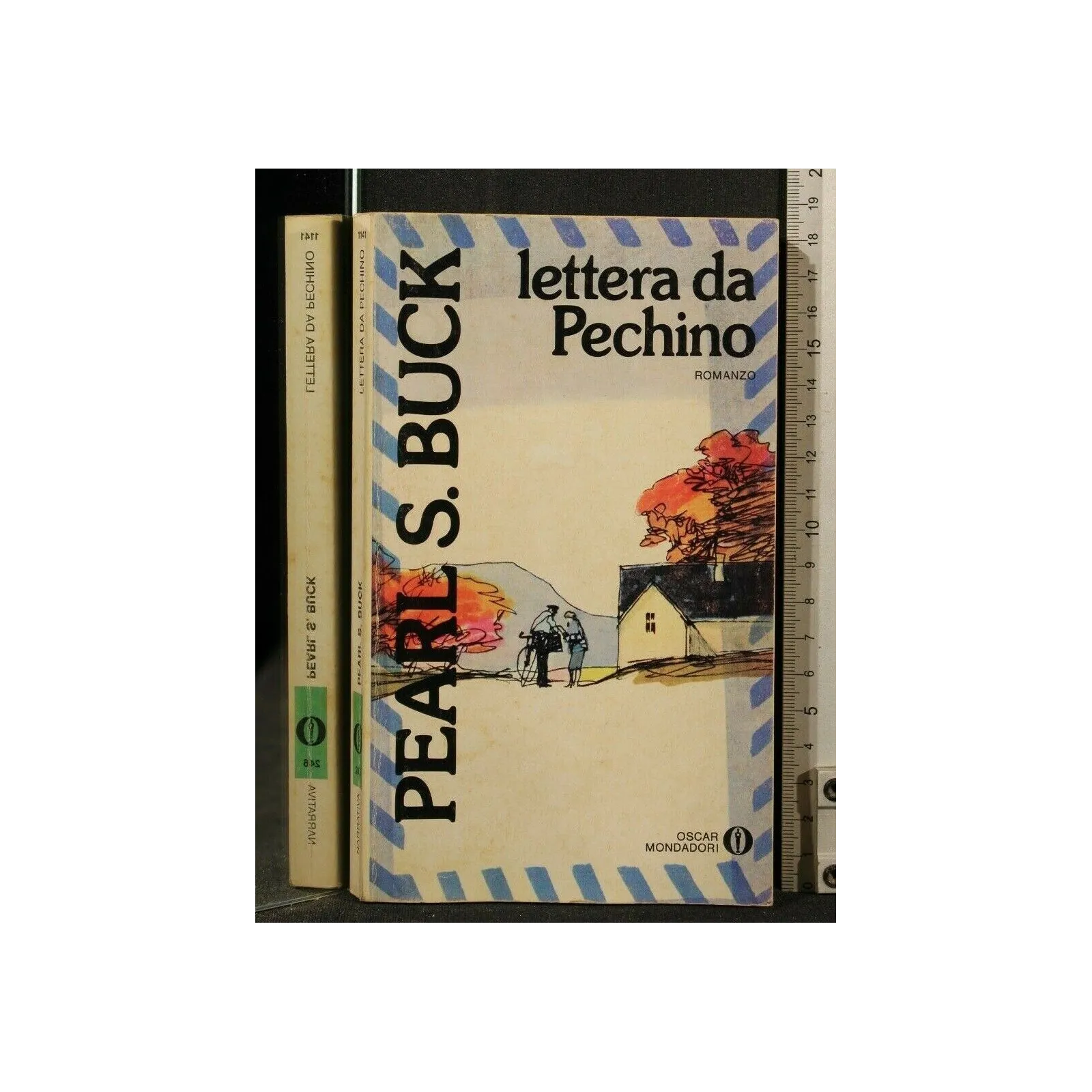 LETTERA DA PECHINO