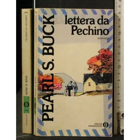 LETTERA DA PECHINO