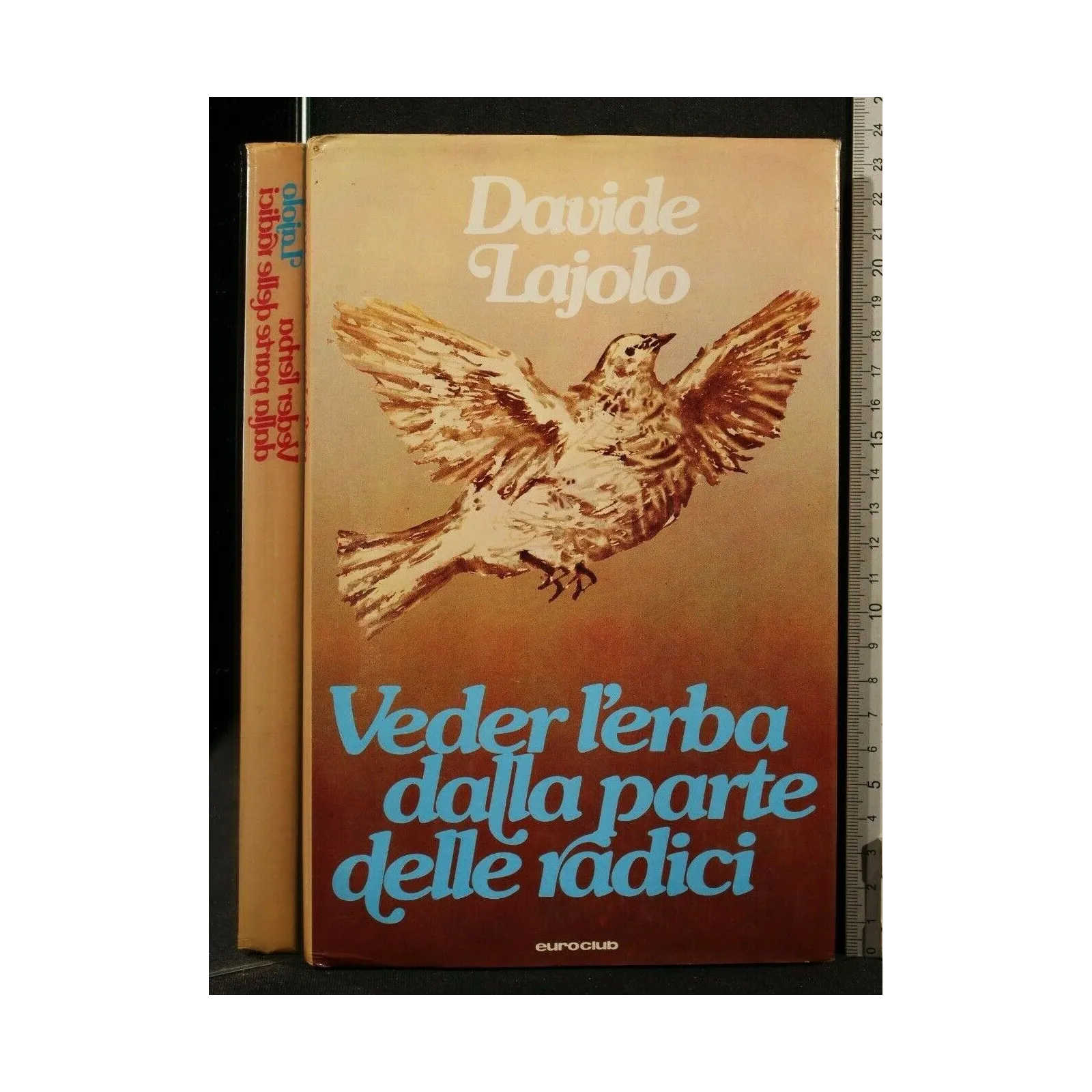 VEDER L'ERBA DALLA PARTE DELLE RADICI