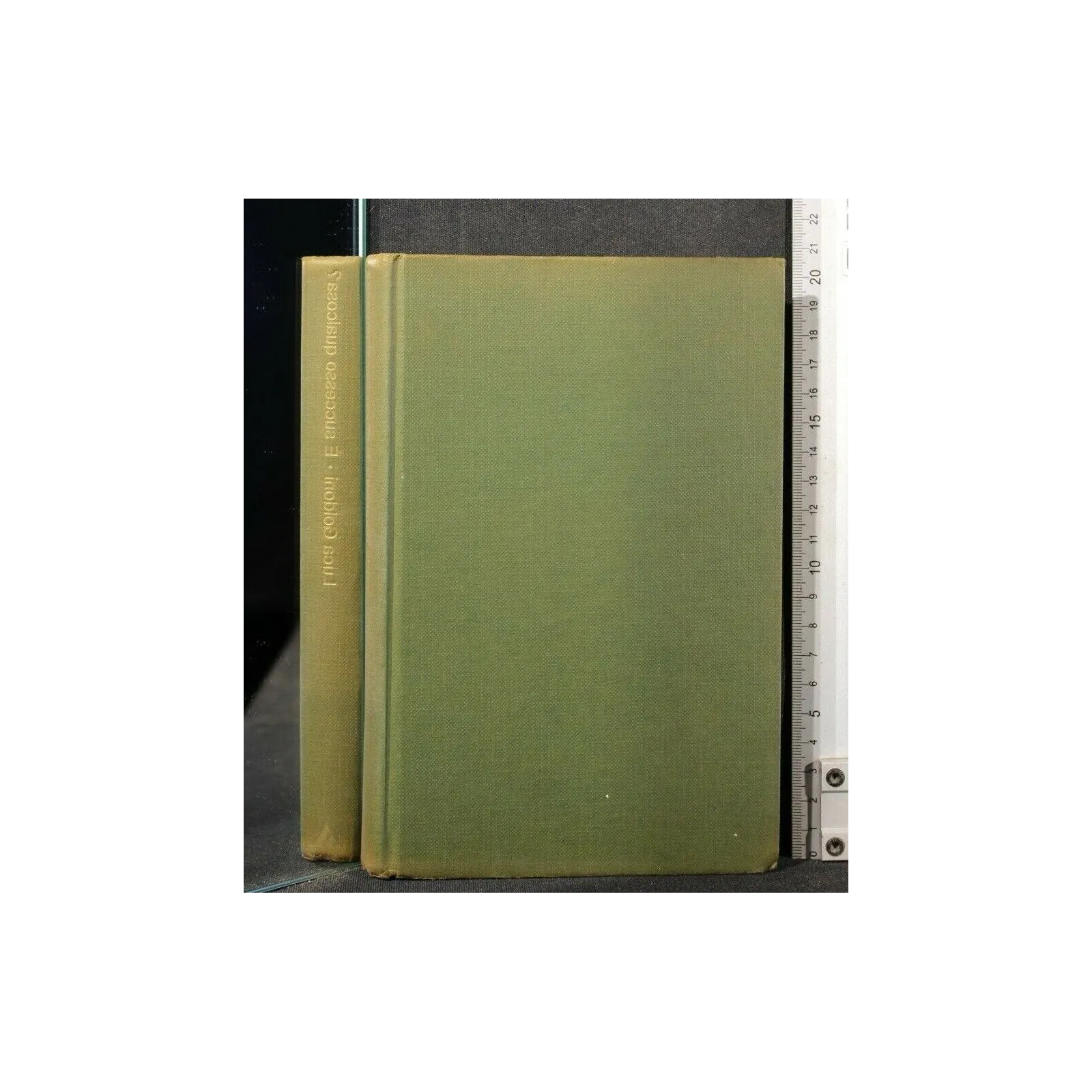 E' SUCCESSO QUALCOSA?