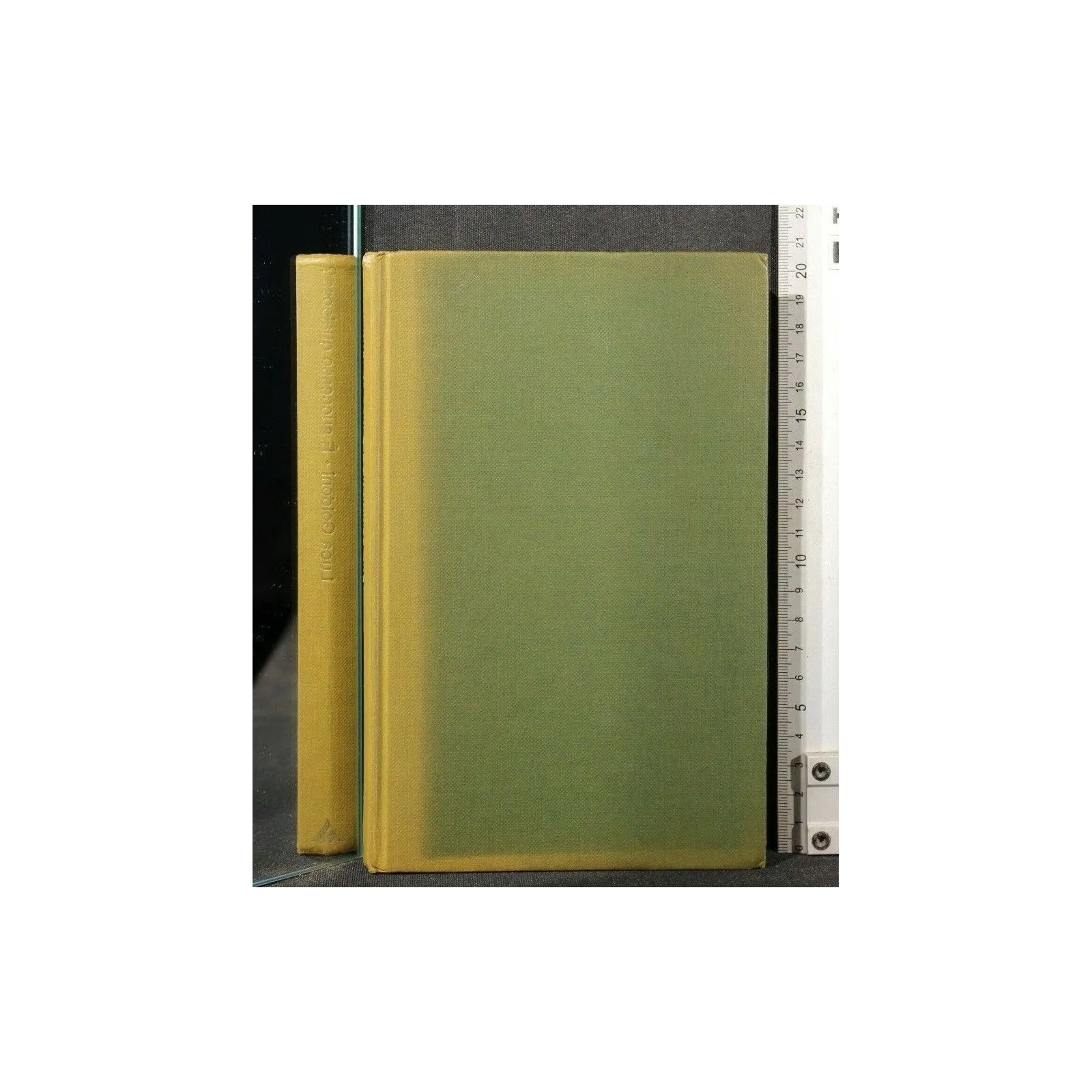 E' SUCCESSO QUALCOSA?