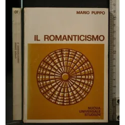 IL ROMANTICISMO _x000D_