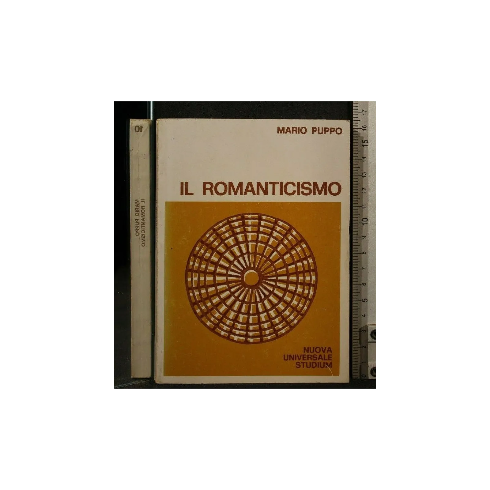 IL ROMANTICISMO _x000D_