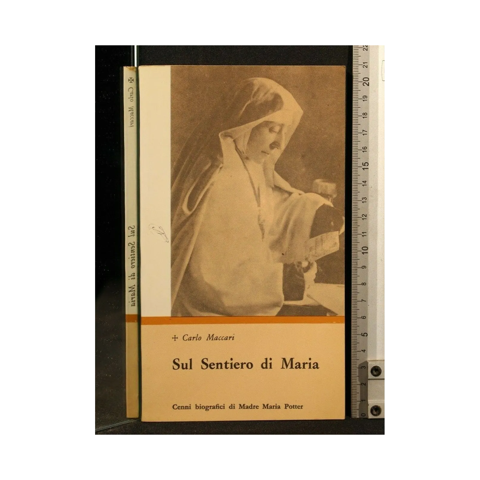 SUL SENTIERO DI MARIA