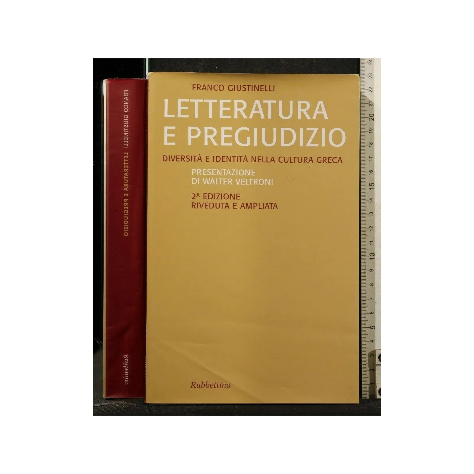 LETTERATURA E PREGIUDIZIO _x000D_