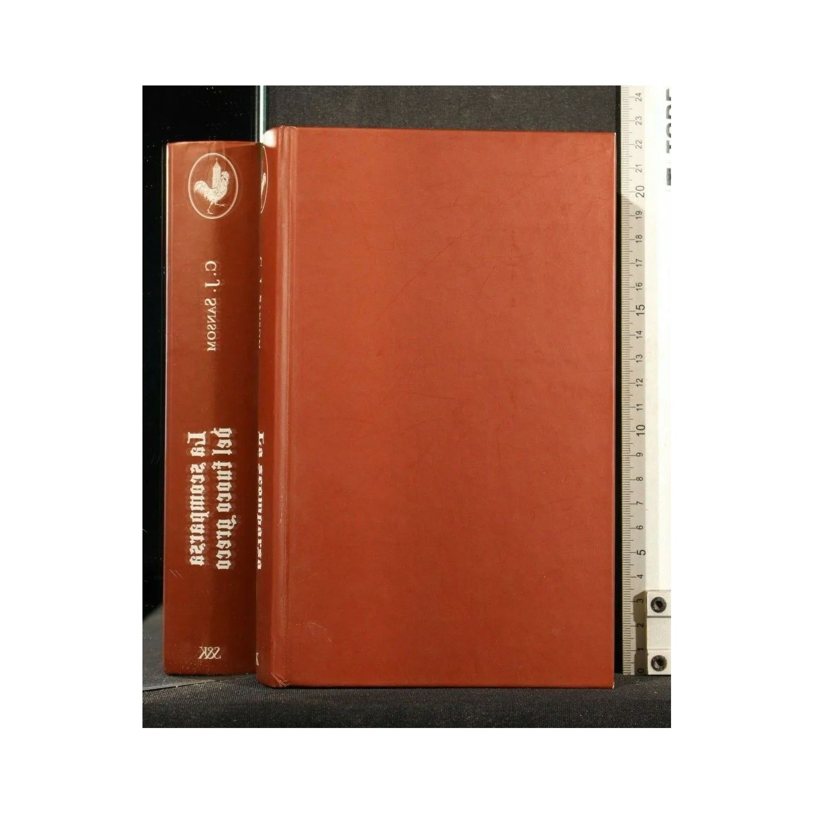 LA SCOMPARSA DEL FUOCO