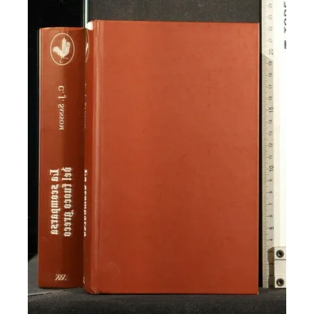 LA SCOMPARSA DEL FUOCO