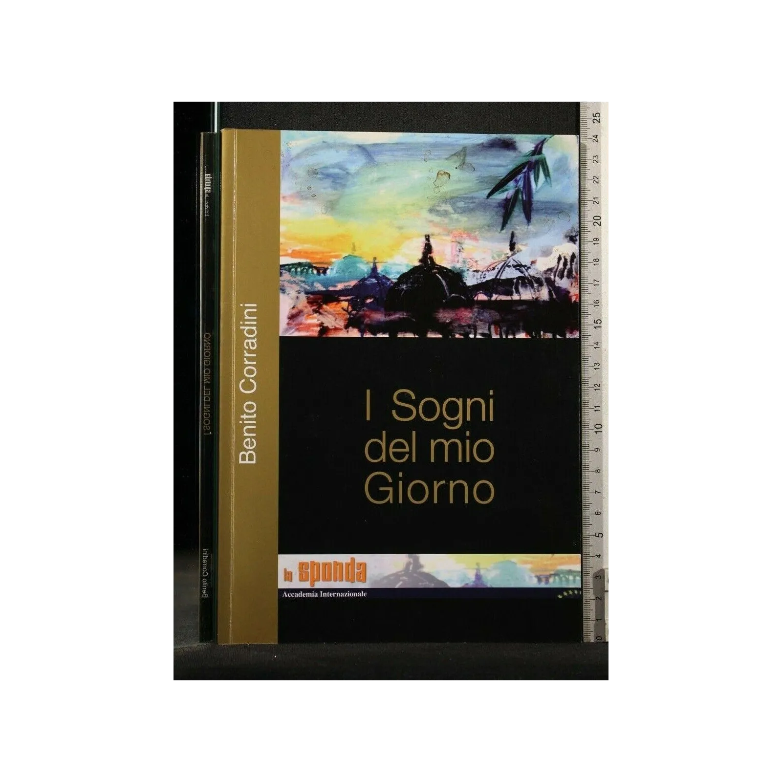 I SOGNI DEL MIO GIORNO