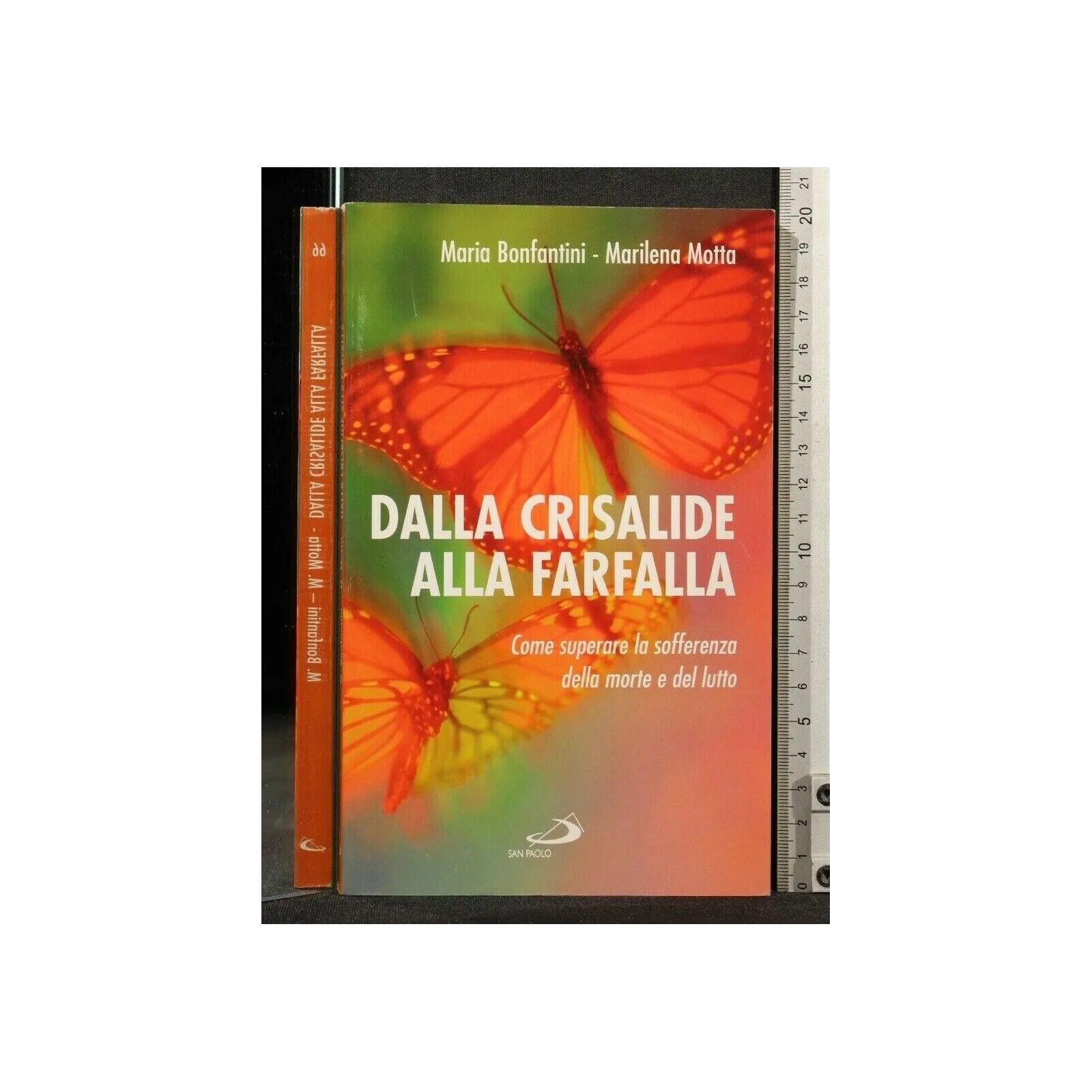 DALLA CRISALIDE ALLA FARFALLA _x000D_