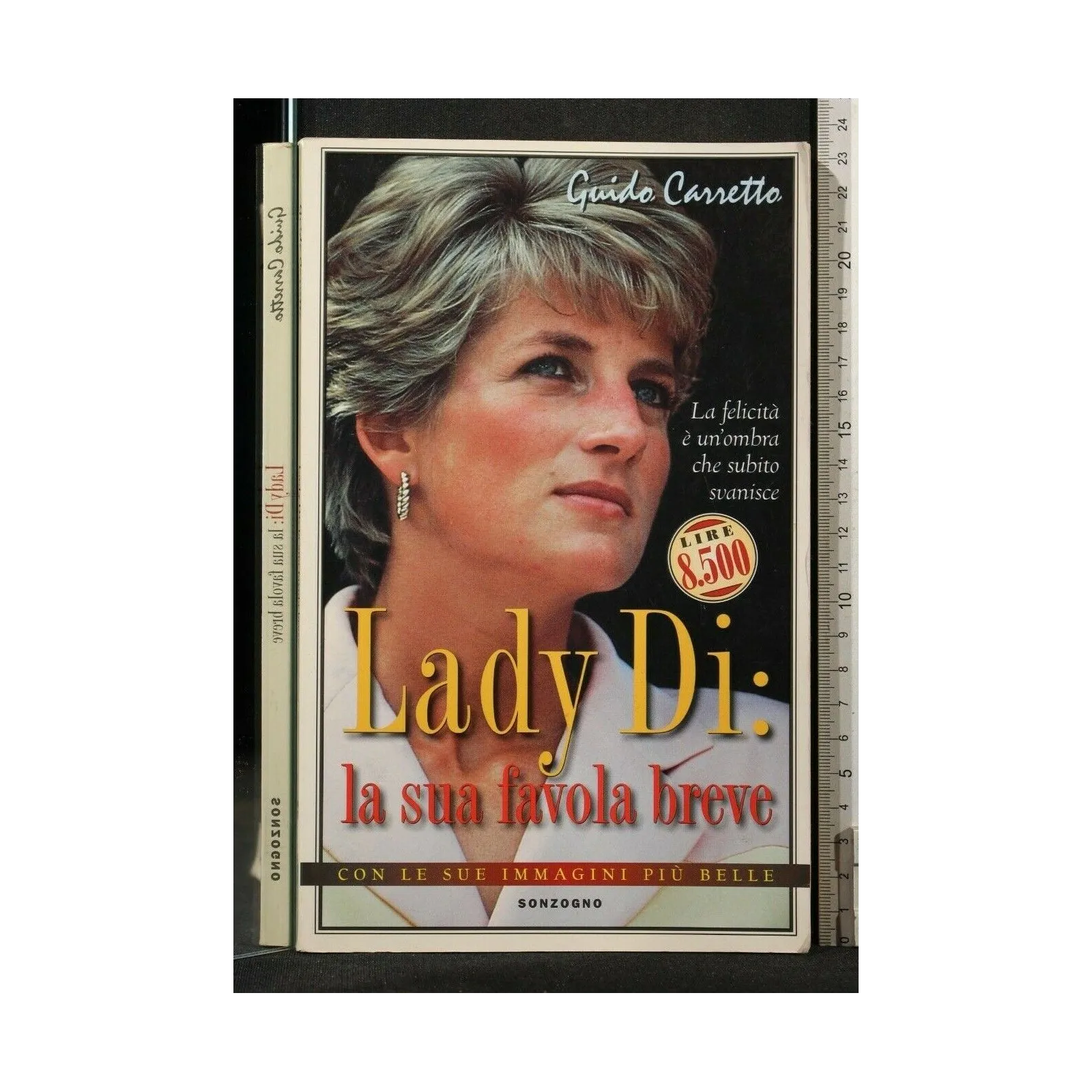 LADY DI: LA SUA FAVOLA BREVE _x000D_