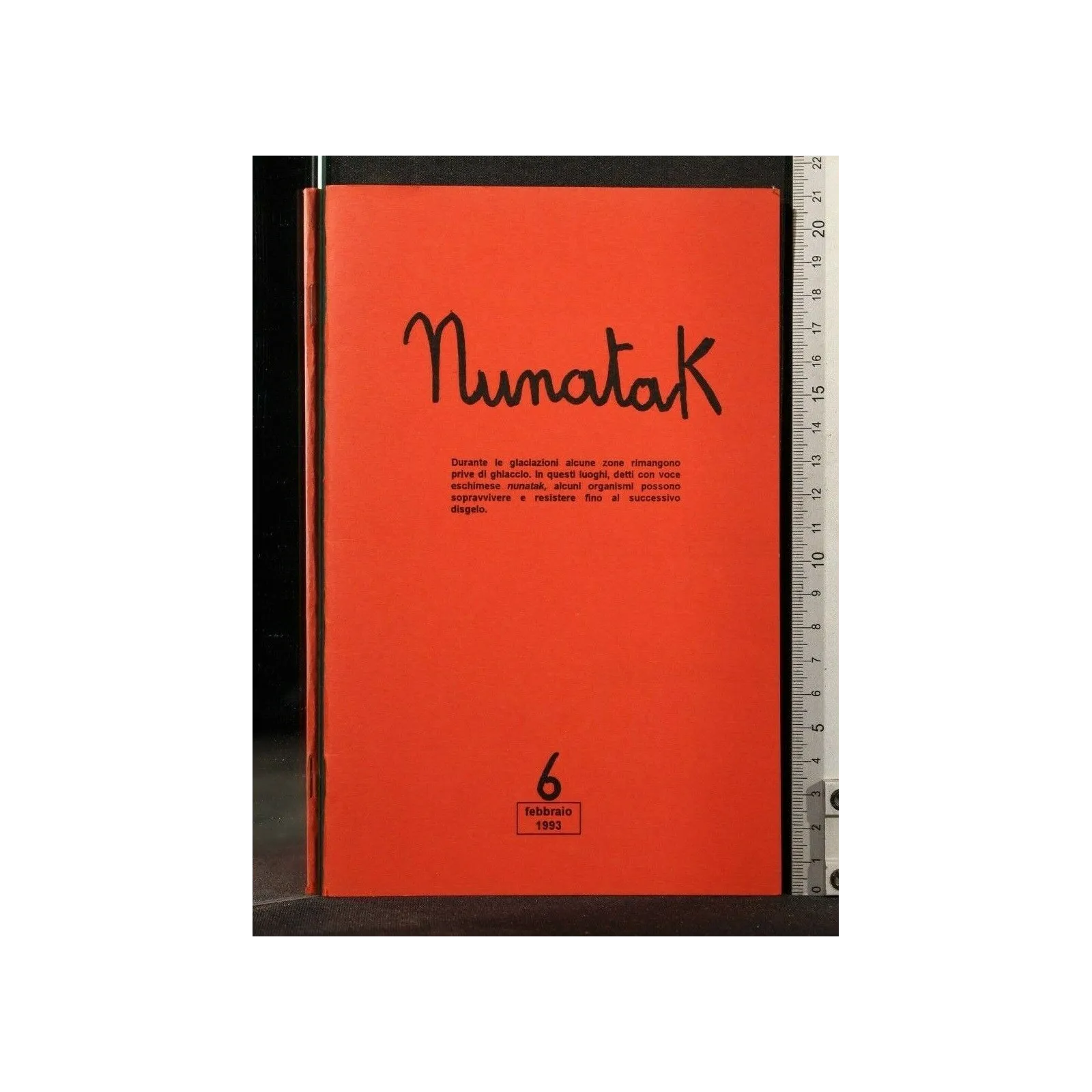 NUNATAK 6 febbraio 1993. AA.VV. Asterisco._x000D_