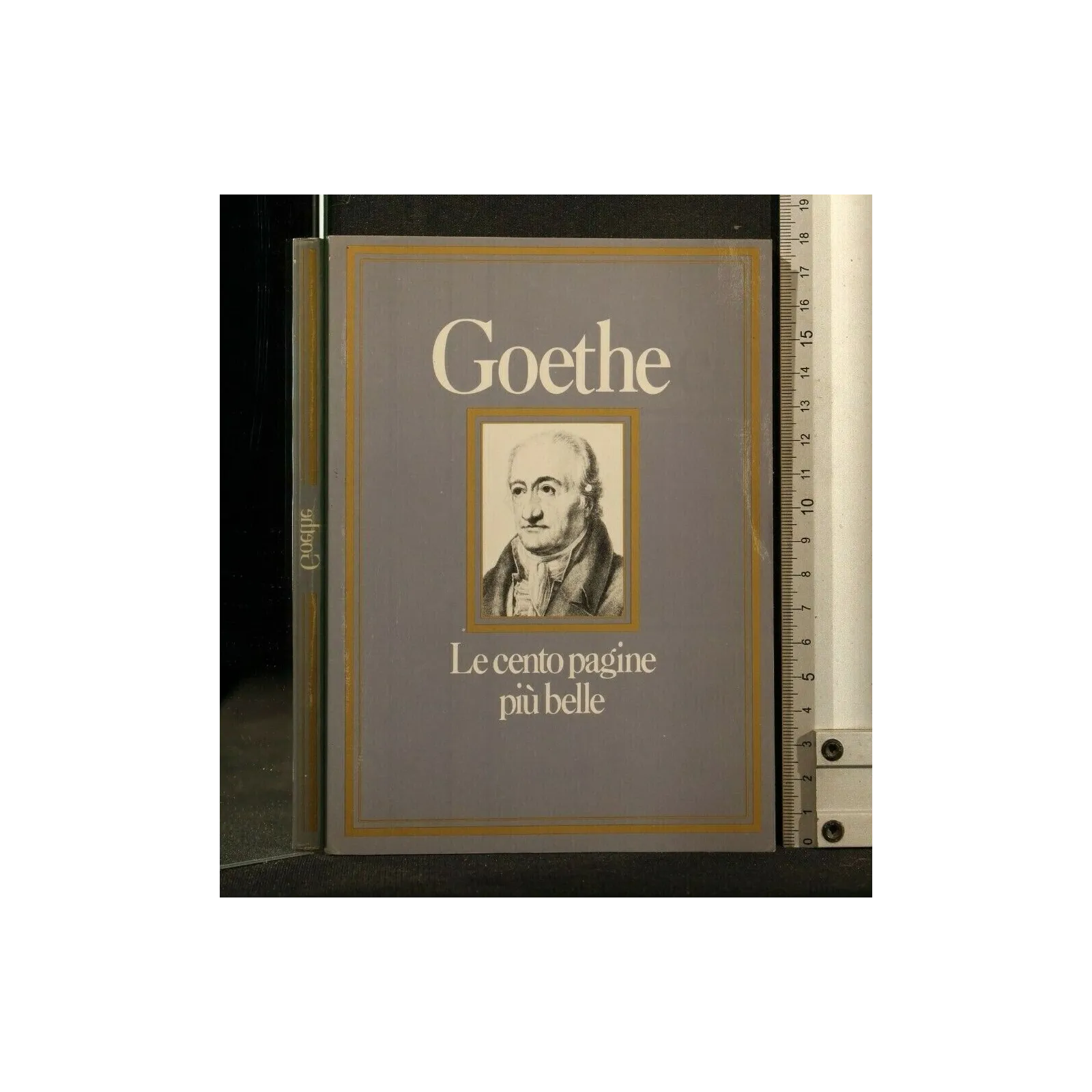 LE CENTO PAGINE PIU' BELLE