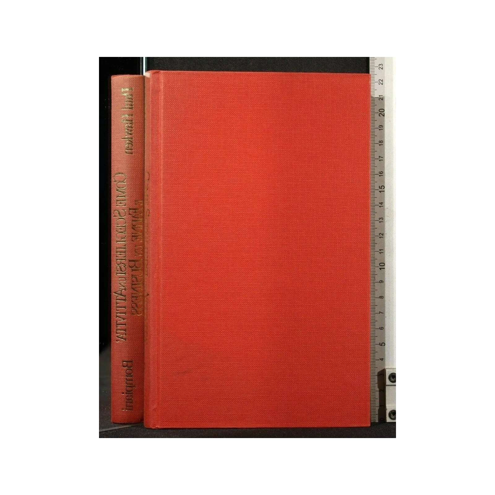 COME SCEGLIERSI UN'ATTIVITA' E FARNE UN BUSINESS _x000D_