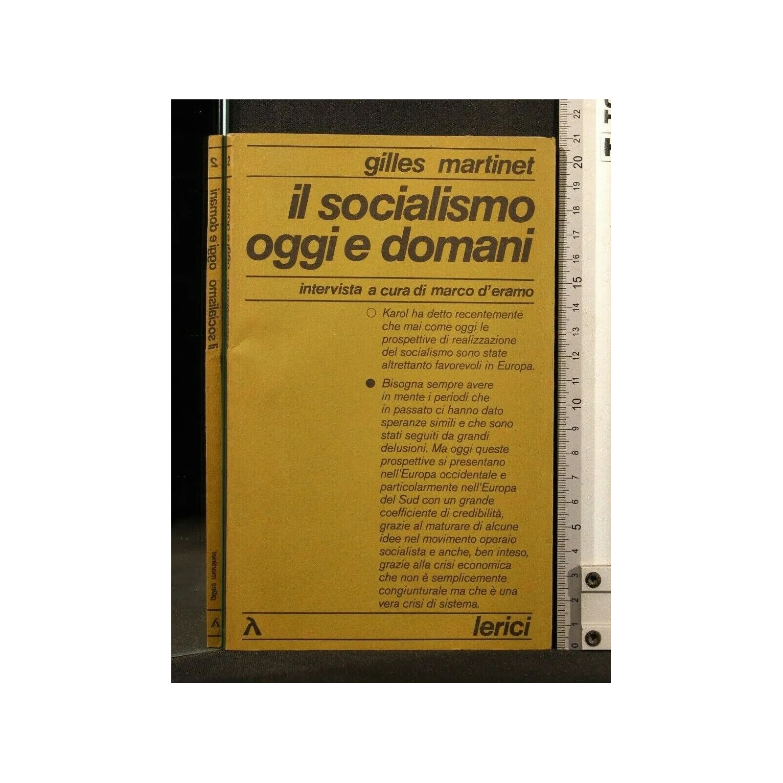 IL SOCIALISMO OGGI E DOMANI _x000D_