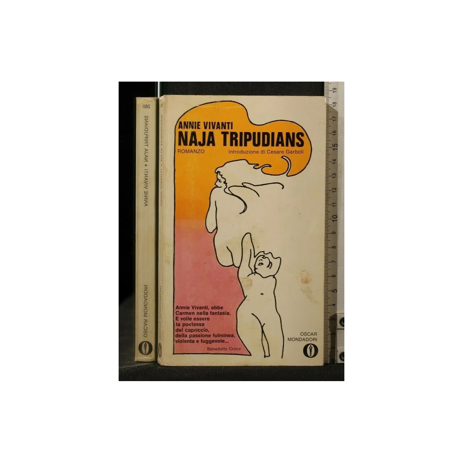 NAJA TRIPUDIANS. ANNIE VIVANTI.