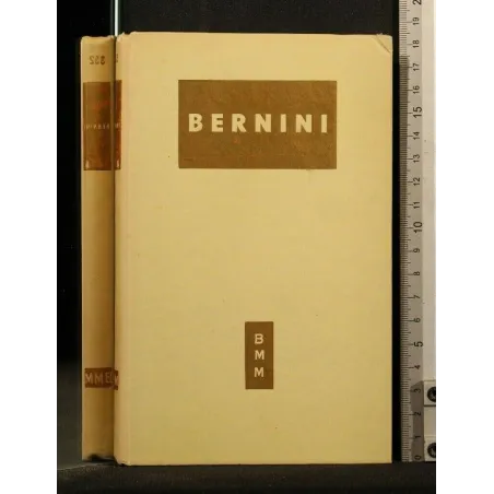 BERNINI _x000D_