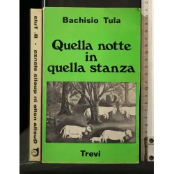 QUELLA NOTTE IN QUELLA STANZA