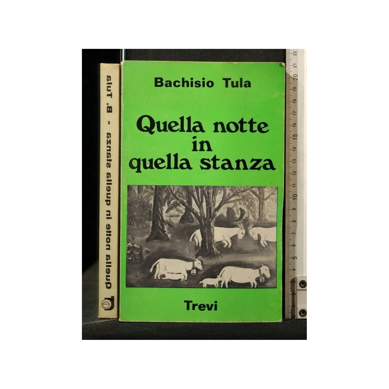 QUELLA NOTTE IN QUELLA STANZA