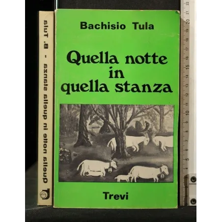 QUELLA NOTTE IN QUELLA STANZA