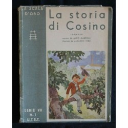 LA STORIA DI COSINO