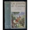 LA STORIA DI COSINO