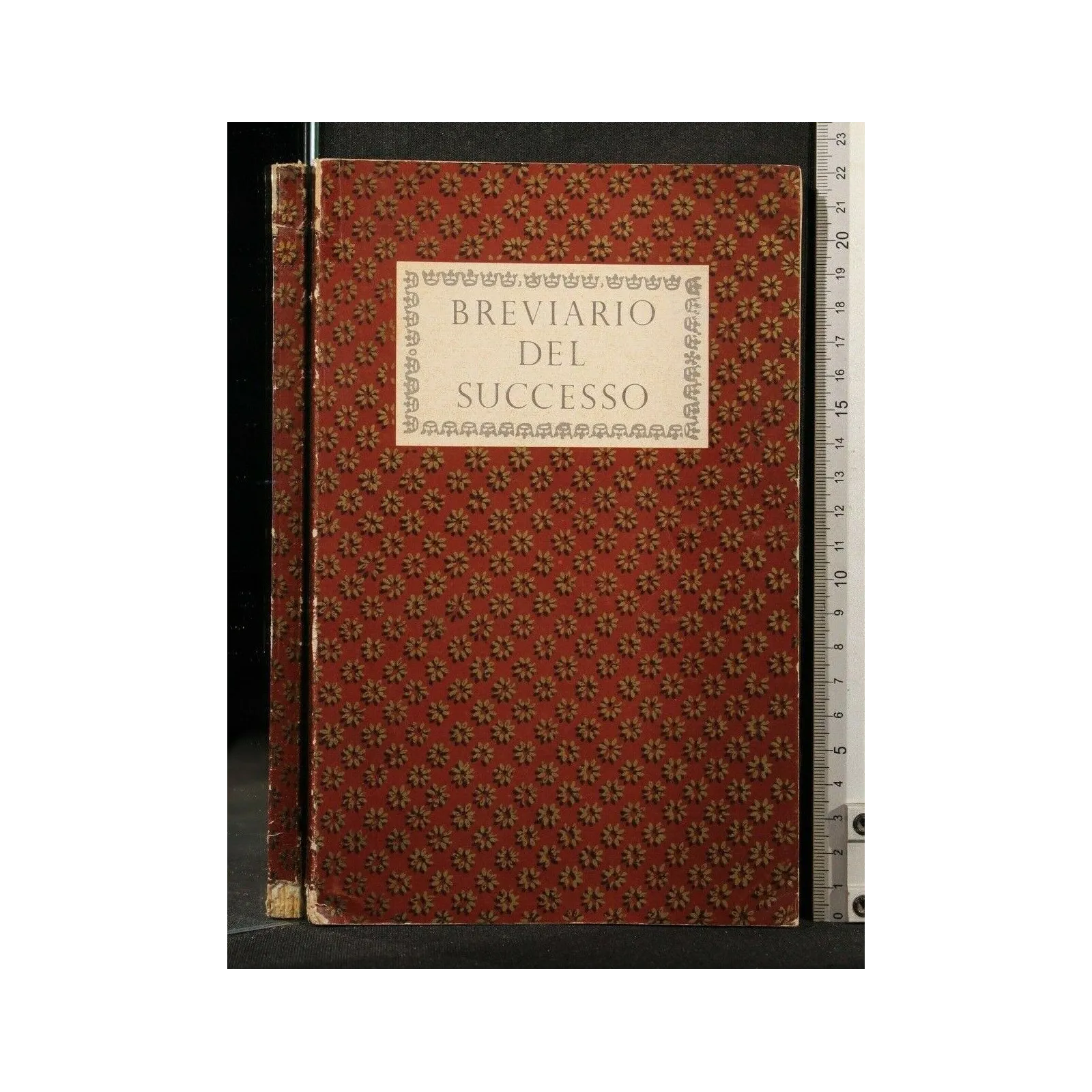 BREVIARIO DEL SUCCESSO _x000D_