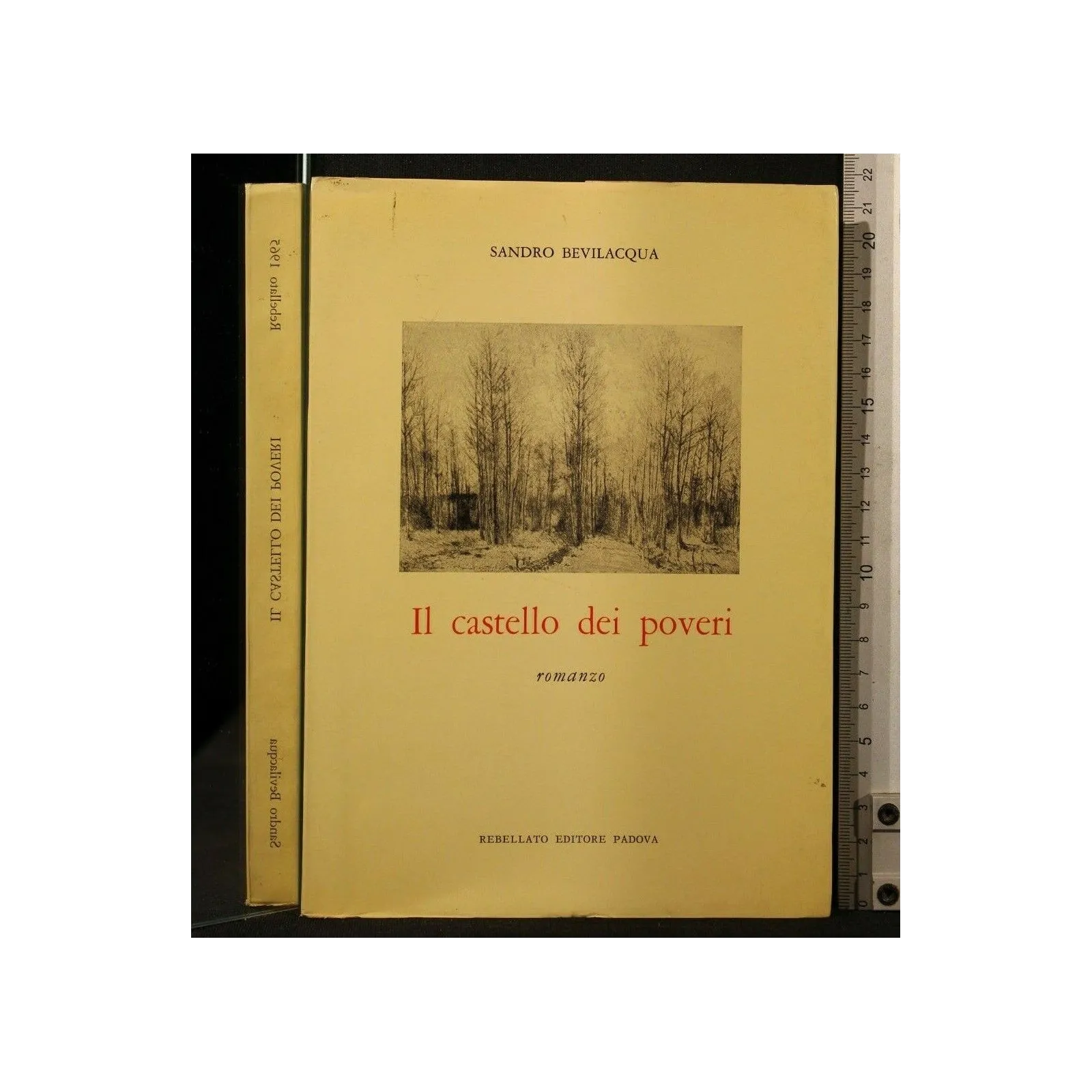 IL CASTELLO DEI POVERI