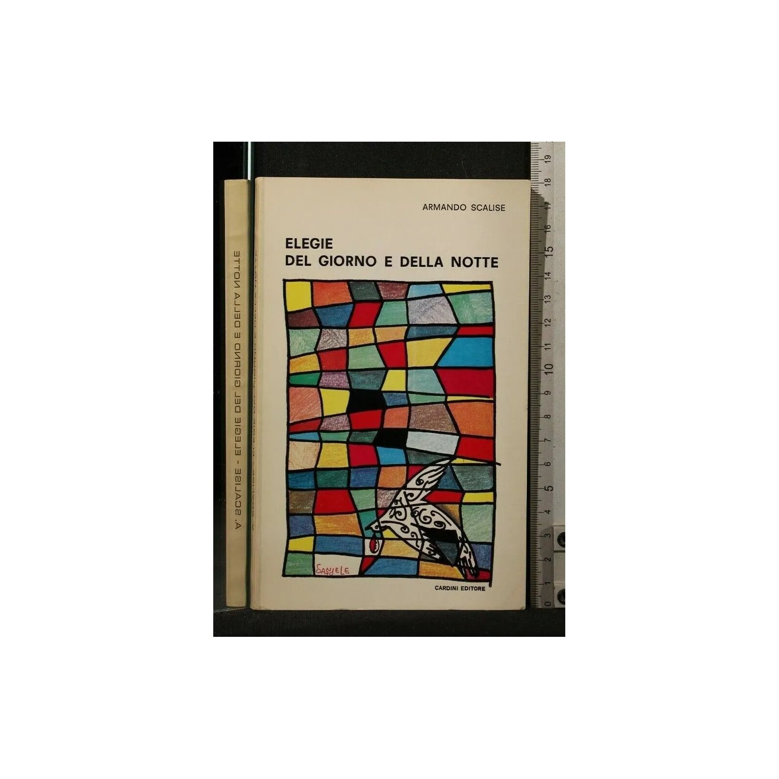 ELEGIE DEL GIORNO E DELLA NOTTE