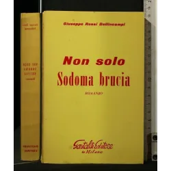 NON SOLO SODOMA BRUCIA