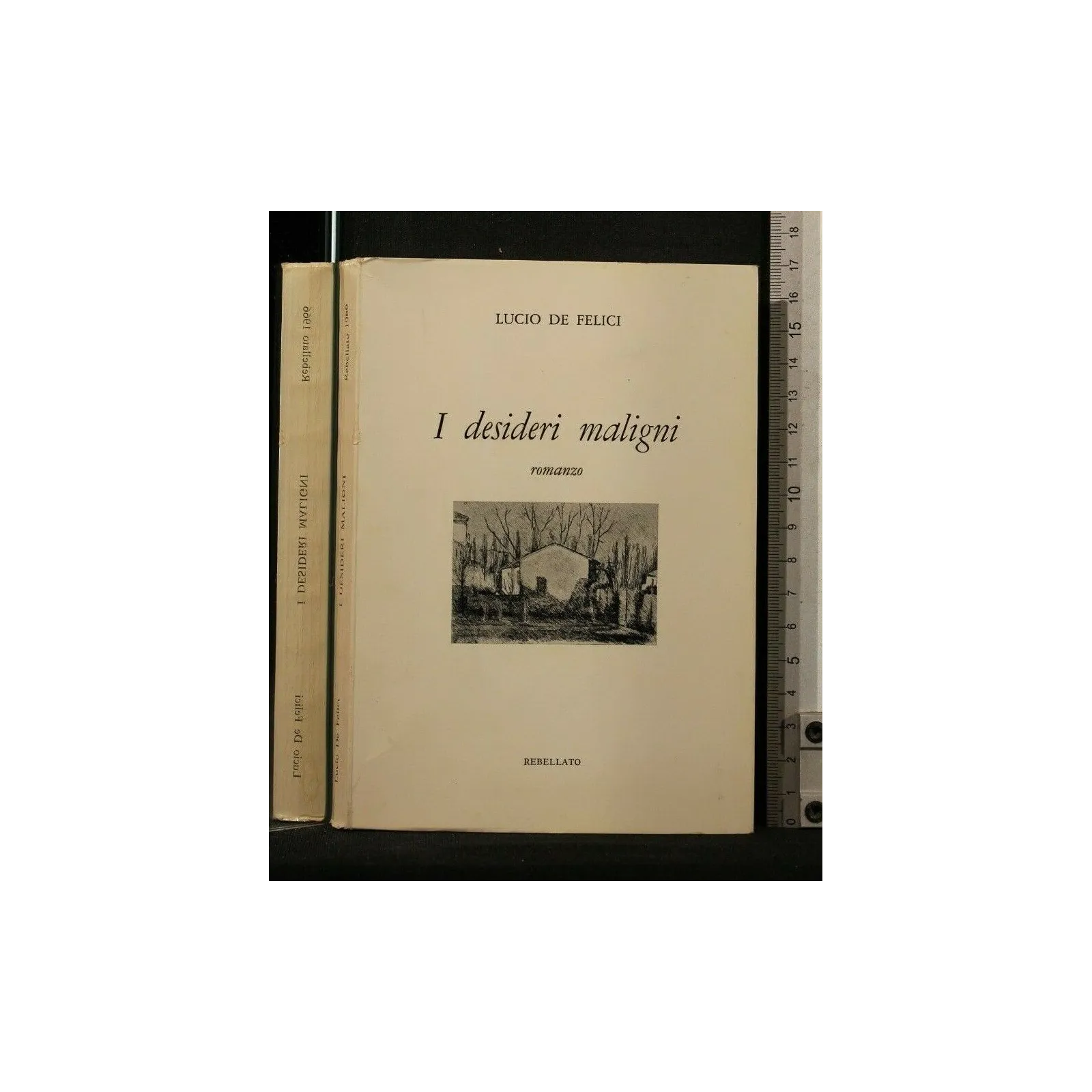 I DESIDERI MALIGNI