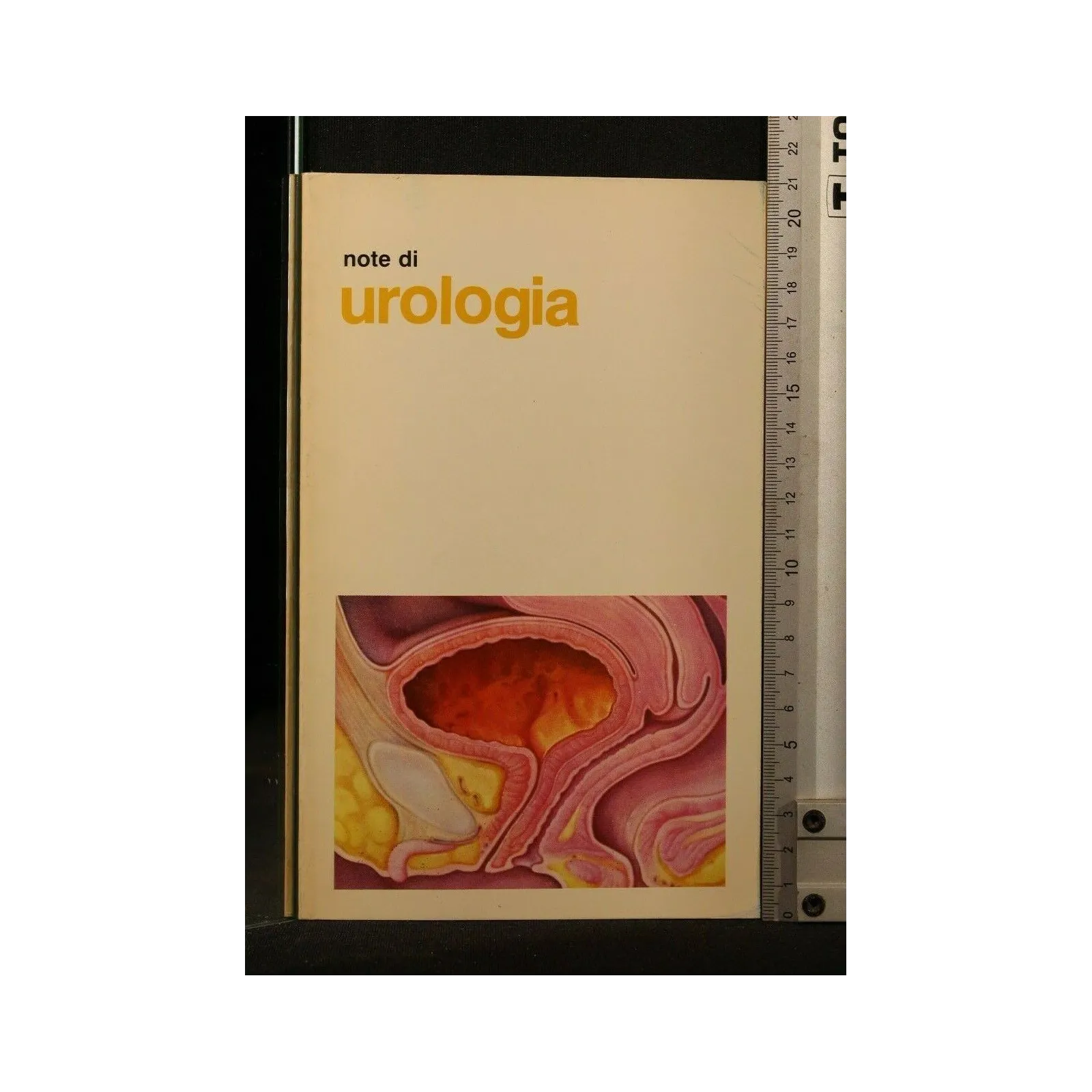 NOTE DI UROLOGIA