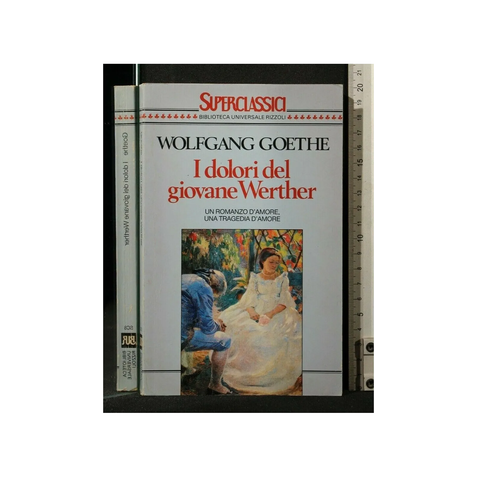 I DOLORI DEL GIOVANE WERTHER