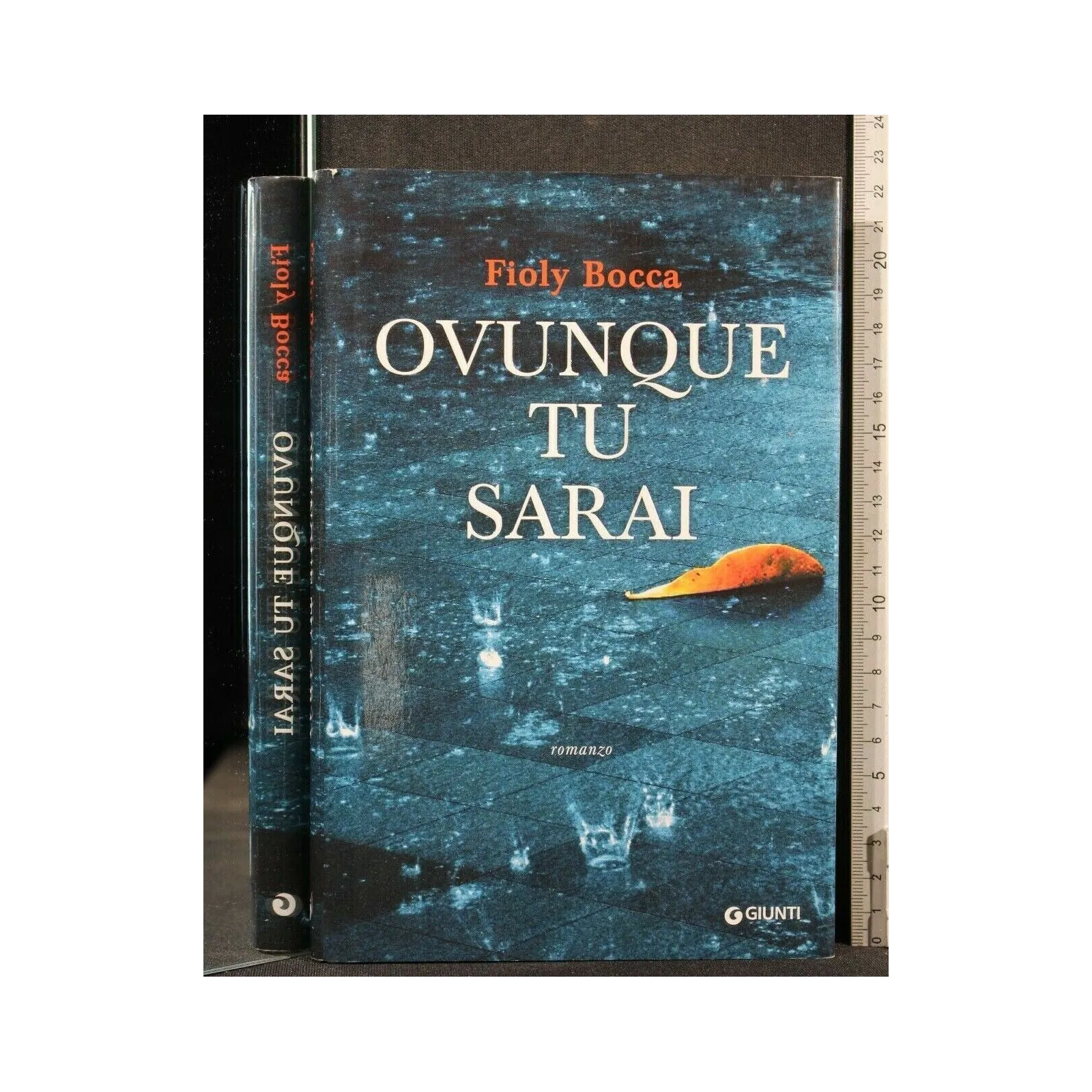 OVUNQUE TU SARAI